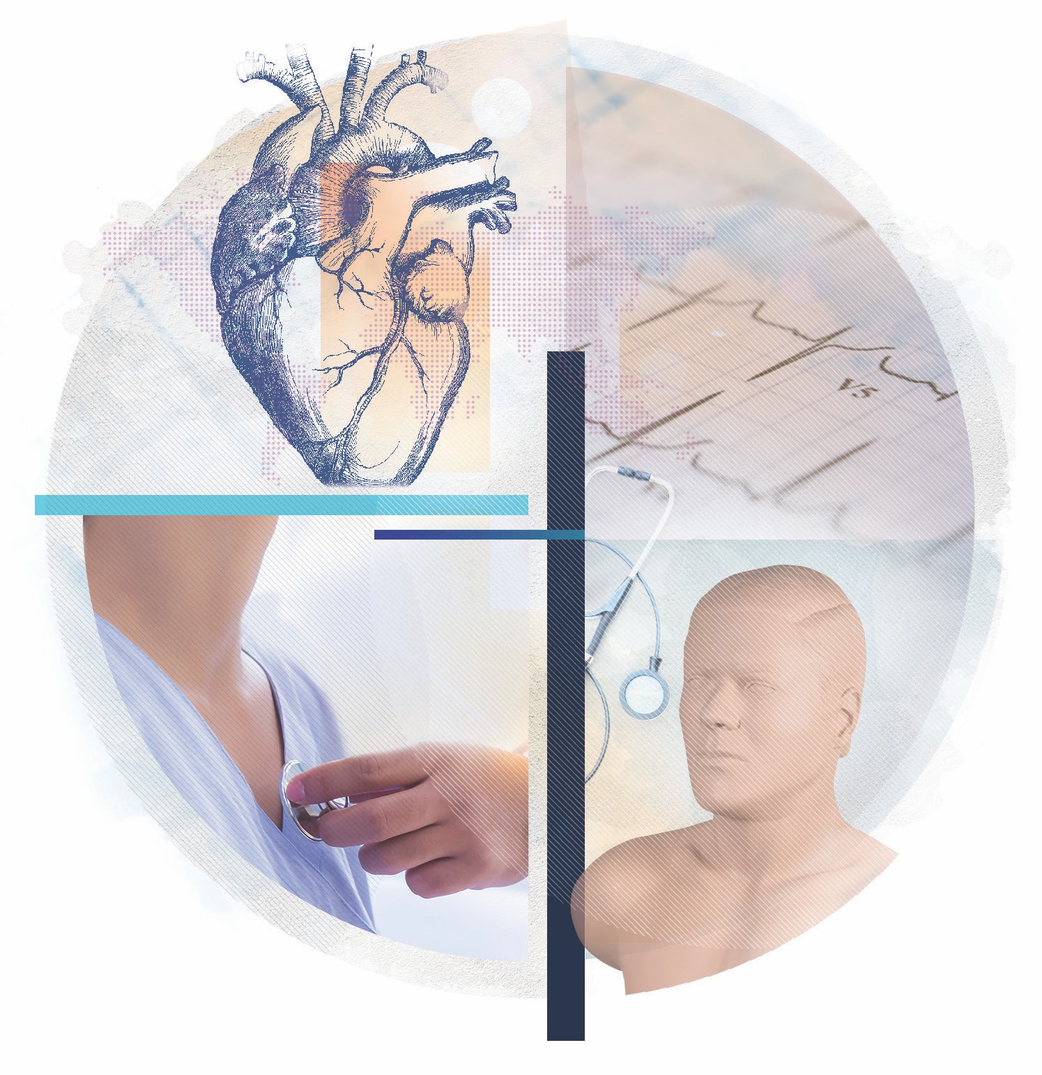 Cardionics Auscultation Catalogue